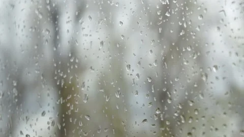 Rain drops fall on window glass with trees outside Stock-Footage 152833915