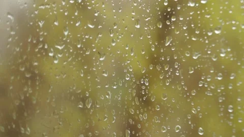 Rain drops fall on window glass with trees outside Stock-Footage 152833916