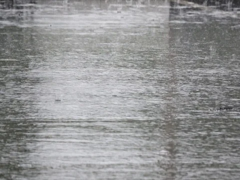 Rain drops falling on the asphalt Stock Footage 76649082