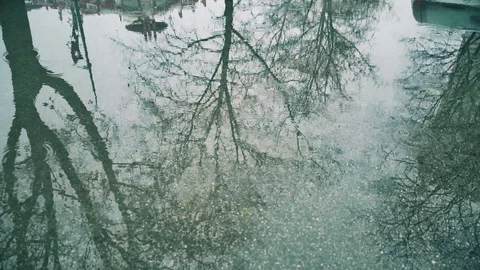 Rain Drops Falling On Asphalt in real time Vídeo Stock 86422914