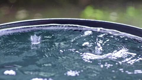 Rain drops falling in black barrel splashing, harvesting water, slow mo Stock Footage 305432505