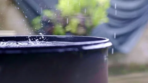 Rain drops falling in black barrel splashing everywhere, harvesting water, slow Stock Footage 305434272