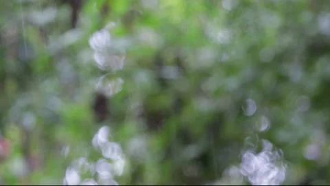 Rain drops falling with blur green background bokeh on a rainy day, 4k Vidéo 132622840