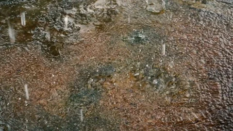 Rain drops falling on cement floor Stock Footage 113051426