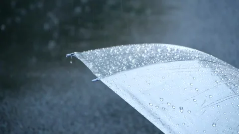 Rain Drops Falling on Clear Umbrella Surface in Slow Motion Stock Footage 319519208