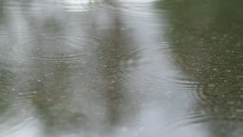 Rain drops falling close-up slow motion. Top view of puddle. Stock-Footage 131487466