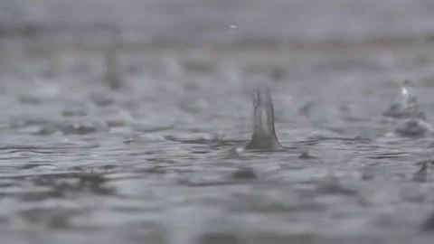 Rain Drops falling in Close-Up Spring Germany Bavaria Stock Footage 309126509
