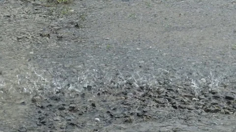Rain drops falling into concrete ground. Stock Footage 81707261