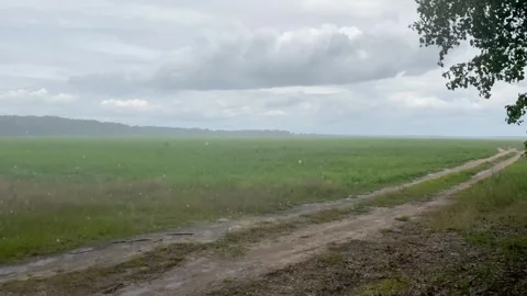 Rain drops falling in a countryside field, rainy clouds above rural landscape Stock Footage 246842780