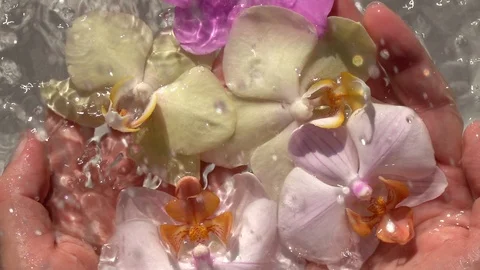 Rain drops falling on decorative water composition with orchids in woman hands Vídeos de archivo 122243483