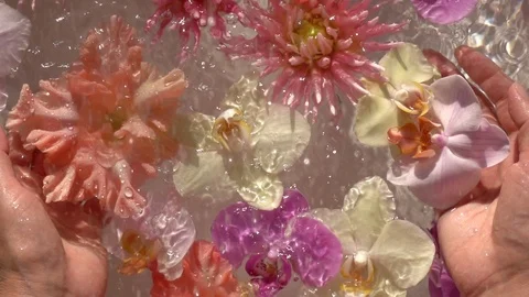 Rain drops falling on decorative water composition with flowers and woman hands Vidéo 122243497