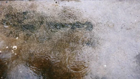 Rain drops falling on dirty wet concrete floor on a rainy day Stock Footage 276880023
