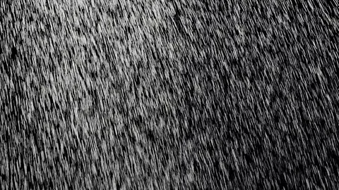 Rain drops falling down on black background Stock Footage 74406704