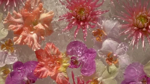 Rain drops falling down on romantic colourful flowers, floating on the water Vídeo Stock 112251549