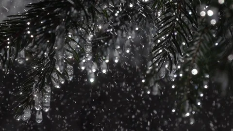 Rain drops falling in extreme slow motion on fir branches with frozen icicles. Vidéo 89862455