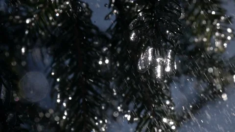 Rain drops falling on fir needles and frozen icicles in slow motion Видео 88265748