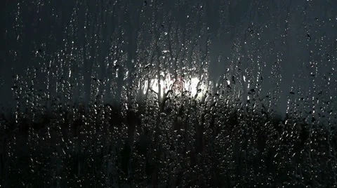 Rain drops falling Stock Footage 37733791