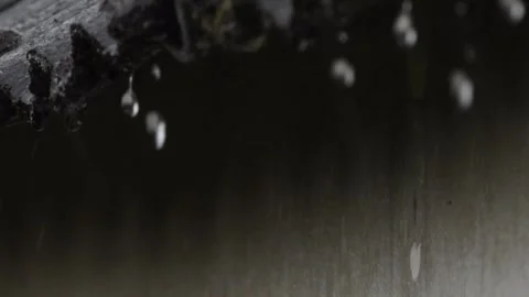 Rain drops falling Stock Footage 248868212