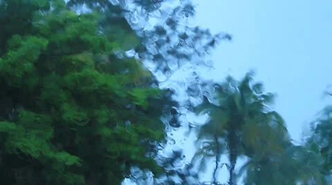 Rain drops falling on glass - below view Stock Footage 22726230