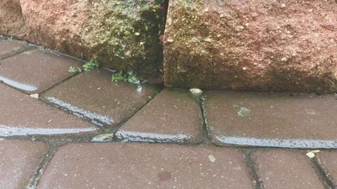 Rain Drops Falling on the Ground - Cobblestones &amp; Bricks with Small Bits of Moss Stock Footage 123724911