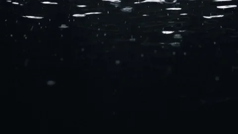 Rain drops falling into ground Stock Footage 70613042