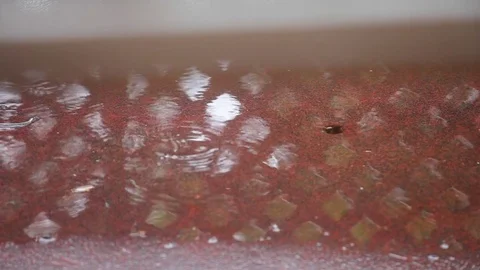 Rain drops falling on ground Stock Footage 76099534