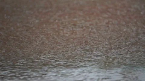 Rain drops falling into ground  Stock Footage 115395636
