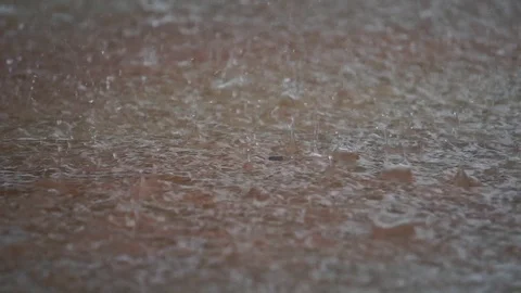Rain drops falling into ground  Stock Footage 115395658