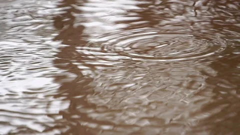 Rain drops falling into ground  Stock Footage 115395807