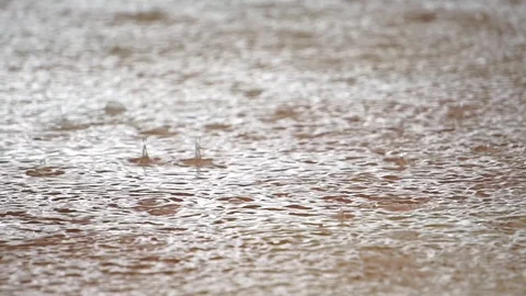 Rain drops falling into ground  Stock Footage 115395843