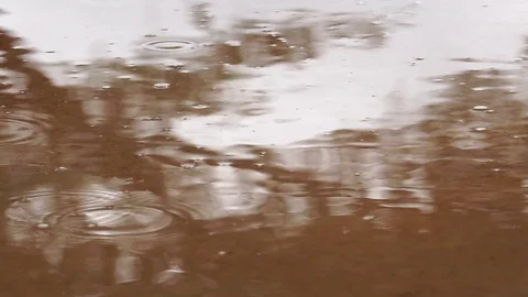 Rain drops falling into ground  Stock Footage 115395909