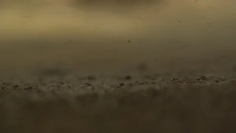 Rain drops falling hard on the ground Stock Footage 79736770