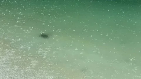 Rain Drops Falling On The Lake Video stock 146024960