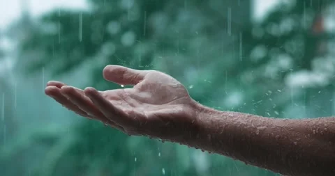 Rain drops falling on man's hand during the rainy day on green nature background Stock Footage 244325100