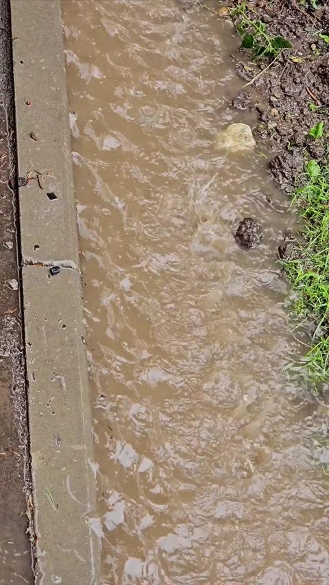 Rain Drops Falling into Muddy Puddle on Sidewalk Stock Footage 330588272