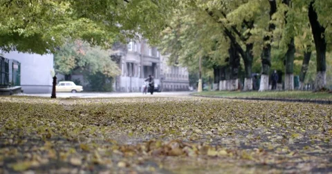 Rain Drops Falling Over Yellow Leaves Close up View With Blurred Man Pushing Stock Footage 71270825