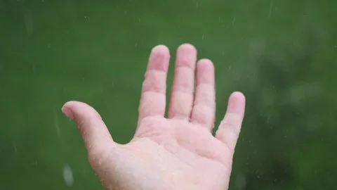 Rain drops falling on palm. summer rain Vidéo 77309426