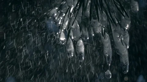 Rain drops falling from pine needles with big icicles against blur forest Stock Footage 91737587