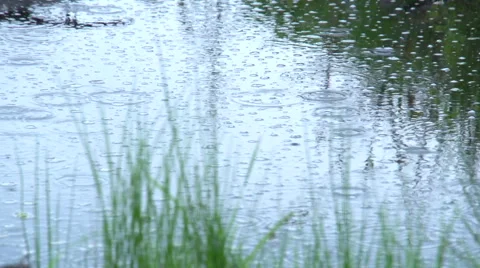 Rain drops falling into the pond 2 Stock Footage 47654488