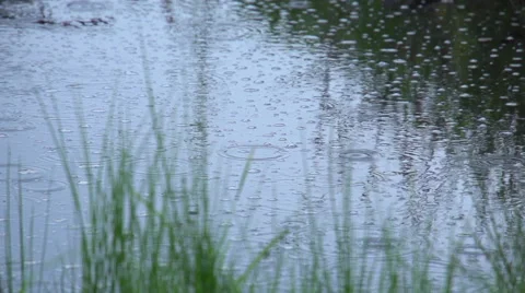 Rain drops falling into the pond 3 (super slow motion) Stock Footage 47654700