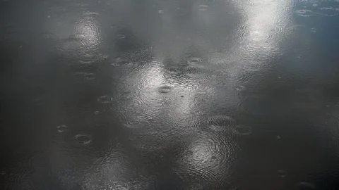Rain Drops Falling On a Pond 库存影片 90861053