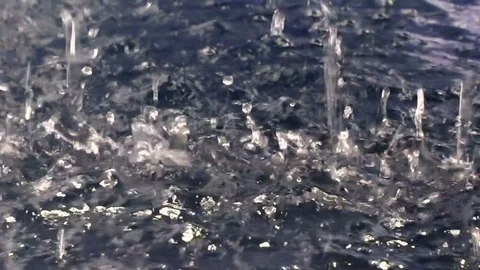 Rain drops falling into a pond, slow motion Stock Footage 77904638
