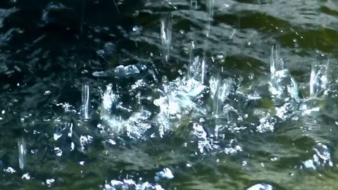 Rain drops falling into a pond, slow motion Stock Footage 77904659