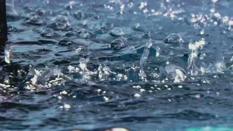 Rain drops falling into a pond, slow motion Stock Footage 77904694