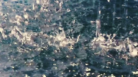 Rain drops falling into a pond, slow motion Video stock 77904704