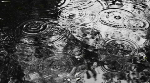 Rain Drops Falling Into a Pool Stock Footage 62304105