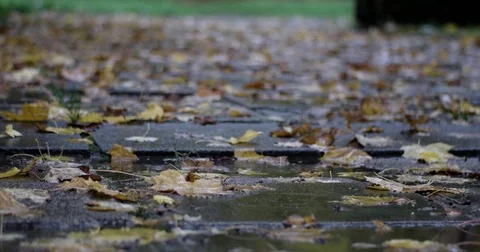 Rain Drops Falling at the Puddle With Autumn Leaves Stockbeeldmateriaal 71271037