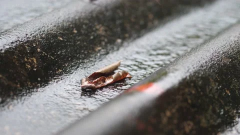 Rain drops falling at the puddle with autumn leaves Stock Footage 166820349