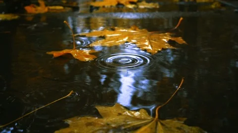 Rain drops falling at the puddle Stock Footage 95655867