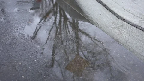 Rain drops falling on a puddle Stock Footage 121585152